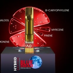 Premium 3 BLUE DREAM