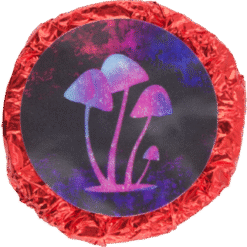 Penis Envy Chocolates