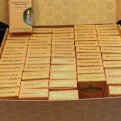 Terpicanna Extracts Carts